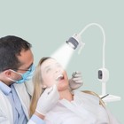 Modern Medical Exam Lamp 5-wheels Led Dental Examination Lamp White 12w Us