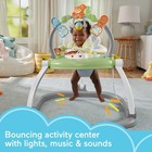 Fisher-price Baby Bouncer Spacesaver Jumperoo Activity Center With Lights Sounds