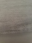 Lace-trim 1 2  Wide white Fashion craft doll Lace Slight Scallop 10 Yards