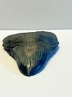 Ancient Original Megalodon Shark Tooth Fossil  Massive 5 Inch