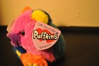 Puffkins 5  Plush Cosmo Rainbow Bear St  Jude Bear Stuffed Plush Animal With Tag
