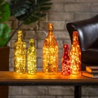 Set Of 5 Decorative Colorful Glass Wine Bottles For Bottle Tree Garden Stake