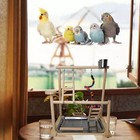 Parrots Playground Bird Play Gym Wood Perch Stand Colours Revolving Climb Lad   