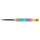 Elkadart Rainbow 90  Tungsten Steel Tip Darts With Storage travel Case 25g
