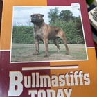 Lot Of 4 Bull Mastiff  Dog Books 3 Hardcover 1 Softcover Book