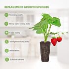 60 Pack Square Grow Sponges Seed Starter Pod Kit Seed  Hydroponics Accessories