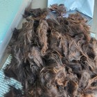 2lb Deep Chocolat Raw Llama Wool For Needle Felting Wet Felting Carding Spinning