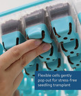 Burpee Superseed Seed Starting Tray   36 Cell Reusable Seed Starter Tray   For S