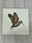 Vintage Eurasian Woodcock Art Trivet Ceramic Tile Deland Studios 6   