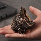 Realistic Alligator Snapping Turtle Statue  Snapping Turtle Bronze Figurine