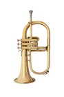 Bb Flugel Horn Brass Golden Finish With Free Hard Case mouthpiece