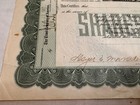 1906 Montgomery Shoshone Consolidated Mining Stock Certificate Rhyolite Nevada