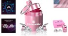 High Fidelity Pink Earplugs With Waterproof Case - Small Ear Protection Solution