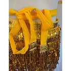 Yellow Gold Belly Dance Scarf Os Flashy Sequin Fringe Cosplay Halloween Costume