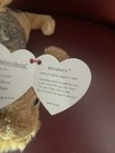 Vintage Ty Beanie Babies Whiskers Plush Beanbag Dog Dob Aug 6  2000