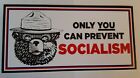 Only You Can Prevent Socialism Bumper Sticker
