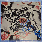 Red Hot Chili Peppers   Signed Cd   4 Members   Blood Sugar Sex Magik