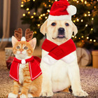 Pet Cat Dog Christmas Costume Hat With Scarf Pet Santa Hat Scarf Set Xmas Party