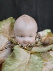 Antique Bisque Baby Cabbage Lettuce Powder Puff Box Boudoir Vanity Doll