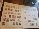 Collection Lot Of Latin  South America Old Classic Stamps On Album Pages