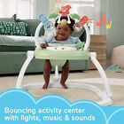 Fisher Price Puppy Spacesaver Jumperoo Baby Bouncer Activity Center  used 