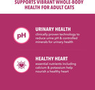 Proactive Health Dry Cat Food  Urinary Tract Health  Adult Cat Food Dry Recipe W