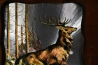 11  Vintage Dufex Aluminium Reflective Foil Print Red Deer Framed Wall Art Decor