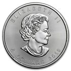 2019 Canada Maple Leaf  5  1 Oz Silver Coin With Capsule