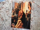 The Black Crowes 1992 High As The Moon Tour Book - Live Concert Program Tourbook