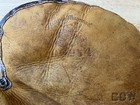 Vintage Baseball Catchers Glove Mitt Leather D m Draper Maynard Dg984 Mlb       