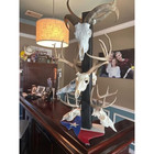 European Mount Skull Hangers With Free Silicone Protector Deer Skull Mount Hange