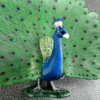 Schleich Male Peacock D-73527 Animal Bird Figurine  5  X 3 5   Figure 2012