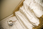 Canvas Drop Cloth 6x9 Feet 2 Pack Thick Painter   s Tarp Double Stitched Edges New