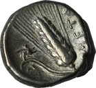 Ancient Greek  330-280 Bce Silver Stater Lucania Metapontum Ngc Chf 4 5 2 5