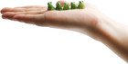 30 Pcs Resin Mini Frogs Green Frog Miniature Figurines Animals Model Fairy Garde
