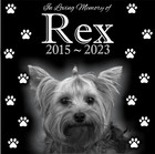 Custom Memorial Grave Marker Granite Plaque Human Headstone 12x12 Dog Sunset