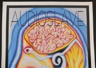 Audioslave 2005 Poster By Adam Espelee Cohen Signed   Numbered By Artist