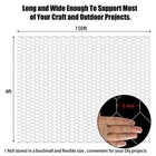 48   150  2  Holes Galvanized Poultry Net Metal Fencing Chicken Wire High Quality