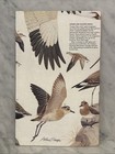 Vintage National Geographic Bird Migration Americas Northeast Usa Fold Map 1979