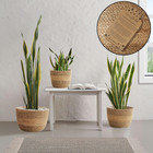 Set Of 3 Seagrass Planter Baskets With Liners - Two-tone  Hand Woven Indoor Flow