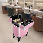 Pink Rolling Train Case Aluminum Trolley Professional Cosmetic Organizer Box