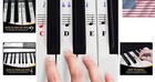 Piano Stickers For 49 61  76 88 Key Keyboards     Transparent And Removable 