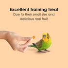 Fiesta Healthy Toppings Papaya Bits For All Pet Birds  2 5oz Bag