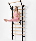 Swedish Ladder  Stall Bar  Suspension Trainer With Swedish Ladder With Bars