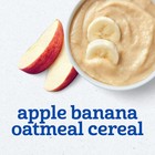 Gerber Stage 2 Baby Food  Apple Banana Oatmeal Cereal Tubs  Iron Helps Support
