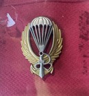 Oryon Italian R s i  Special Forces Swimmer Parachutist Badge  art  0103 