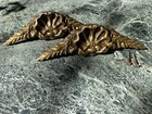 Antique French Gilt Bronze Shell Pediment Ormolu Furniture Mount Acanthus Trim