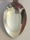 San Diego Zoo Wild Animal Park California Vintage Souvenir Spoon Collectible