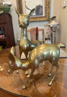Beautiful   Stately Mid Century Modern Brass Deer Pair   Vintage Doe And Fawn