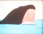 16mm - How The Whale Got His Throat - Animated Rudyard Kipling Tale - A  Color